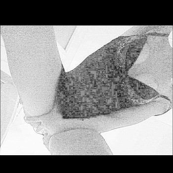 Profil de Anaïs, 40 ans, Trav à Deschambault Lake