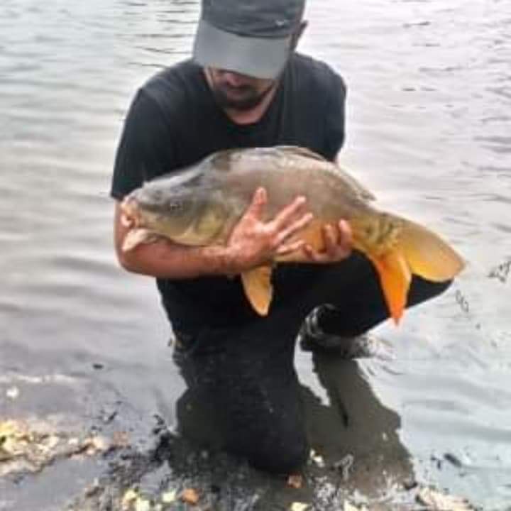 Profil de Houdheyfa, 38 ans, Trav à Beiseker