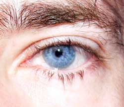 Profil de Sina, 53 ans, Trav à Sundre