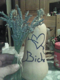 Profil de Nemorin, 53 ans, Trav à Standon