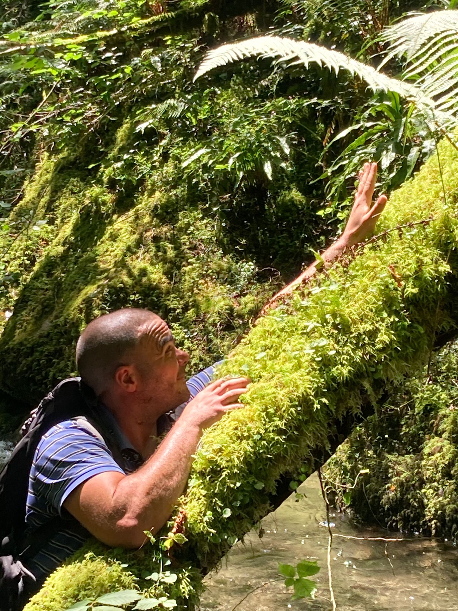 Profil de Karl, 40 ans, Trav à Harrington