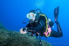 Profil de Sigfried, 55 ans, Trav à Quyon